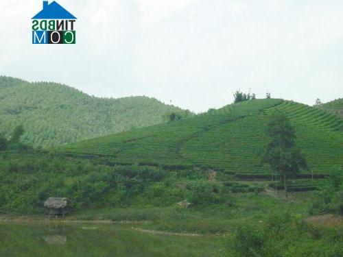 Hình ảnh Minh Hòa, Phú Thọ