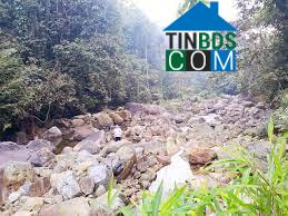 Hình ảnh Mường Động, Phú Thọ