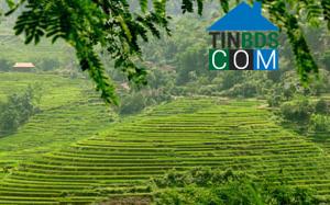 Hình ảnh Mường Vang, Phú Thọ