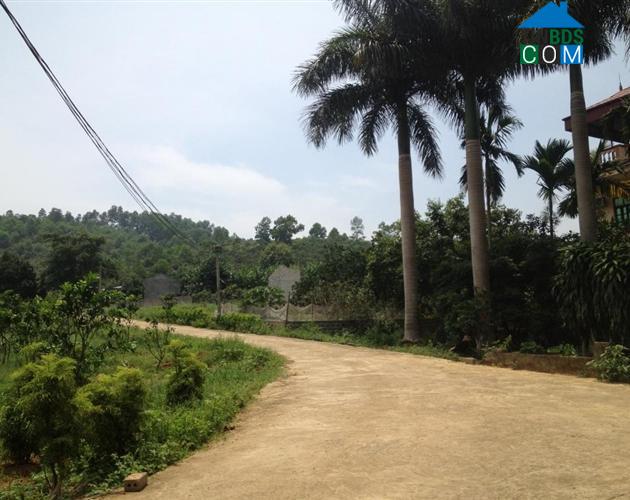 Hình ảnh Nật Sơn, Phú Thọ