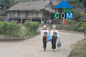 Hình ảnh Thung Nai, Phú Thọ