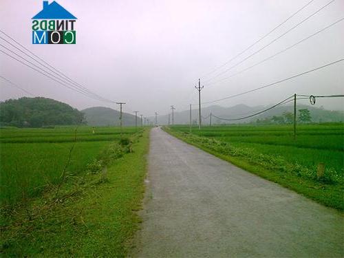 Hình ảnh Thượng Long, Phú Thọ