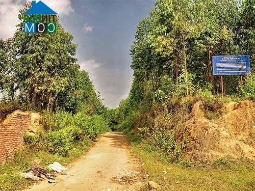 Hình ảnh Phùng Nguyên, Phú Thọ