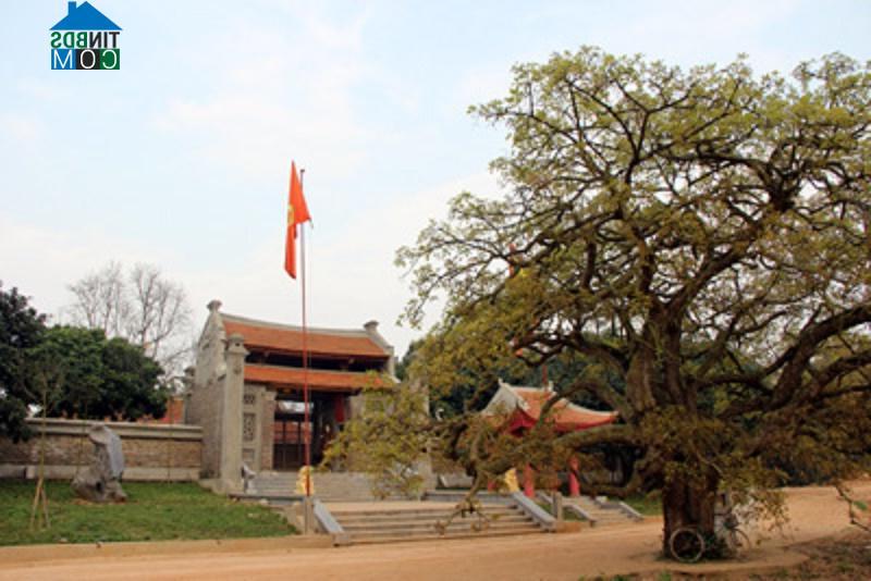 Hình ảnh Sơn Đông, Phú Thọ