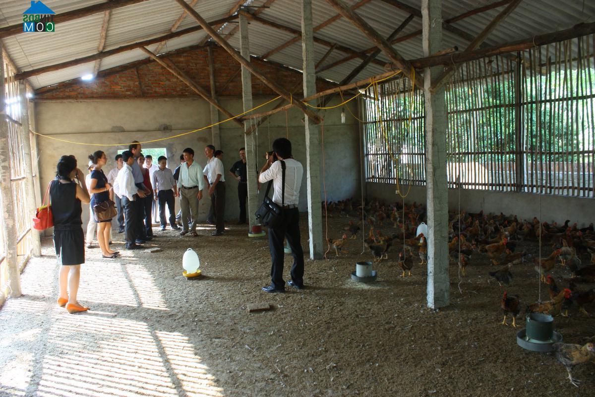 Hình ảnh Tam Dương Bắc, Phú Thọ