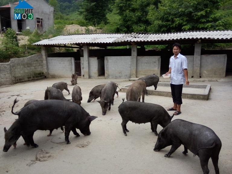 Hình ảnh Tam Sơn, Phú Thọ