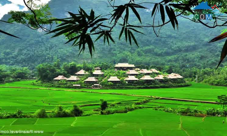 Hình ảnh Tân Mai, Phú Thọ