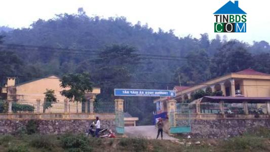 Hình ảnh Tân Pheo, Phú Thọ