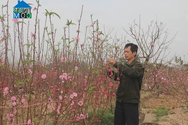 Hình ảnh Phúc Yên, Phú Thọ