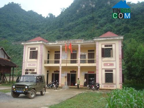 Hình ảnh Toàn Thắng, Phú Thọ