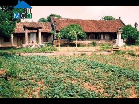 Hình ảnh Xuân Lũng, Phú Thọ