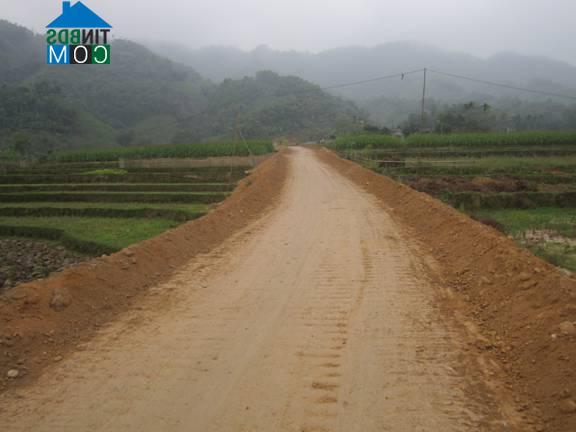 Hình ảnh Xuân Viên, Phú Thọ