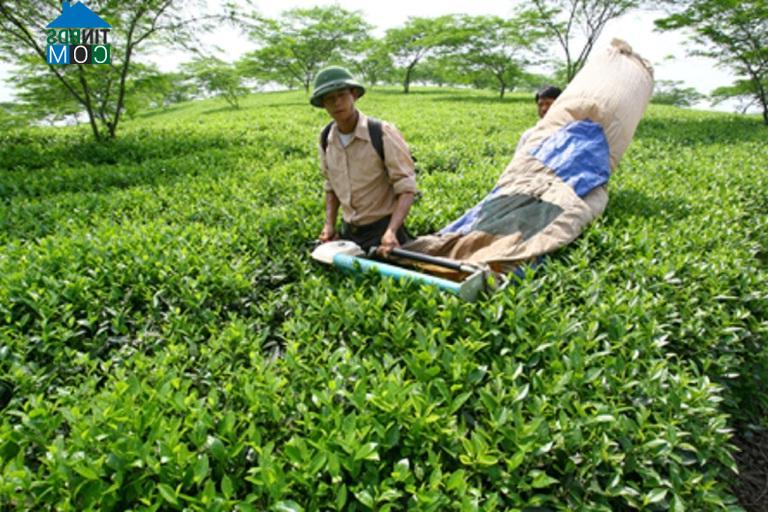 Hình ảnh Yên Kỳ, Phú Thọ