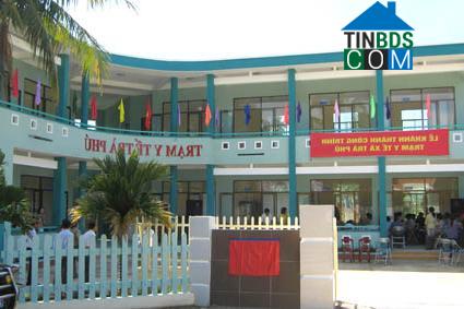 Hình ảnh Đông Trà Bồng, Quảng Ngãi