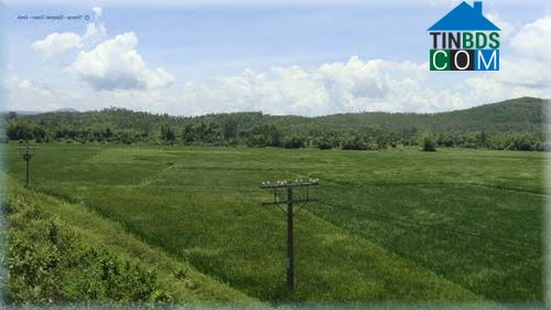 Hình ảnh Đức Phổ, Quảng Ngãi