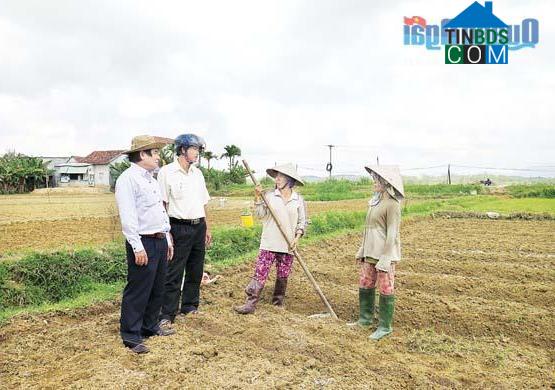 Hình ảnh Bình Minh, Quảng Ngãi