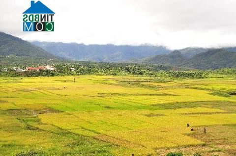 Hình ảnh Xốp, Quảng Ngãi