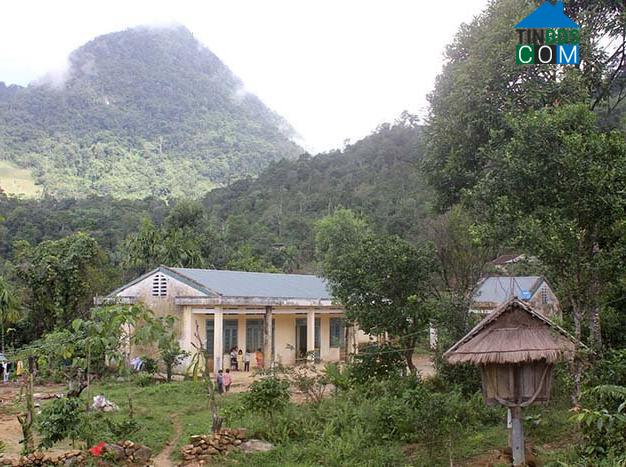 Hình ảnh Cà Đam, Quảng Ngãi