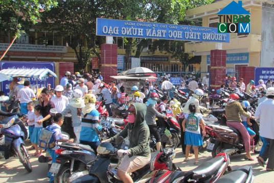 Hình ảnh Cẩm Thành, Quảng Ngãi