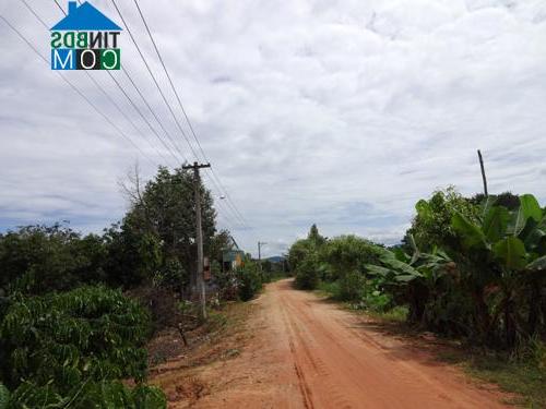 Hình ảnh Đăk Mar, Quảng Ngãi