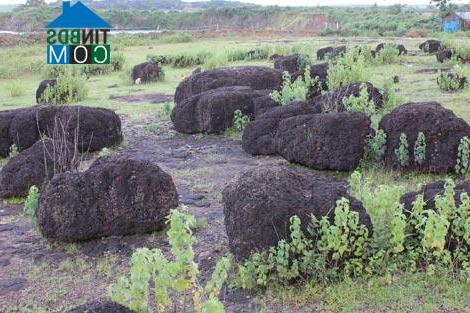 Hình ảnh Tân Tiến, Đồng Nai