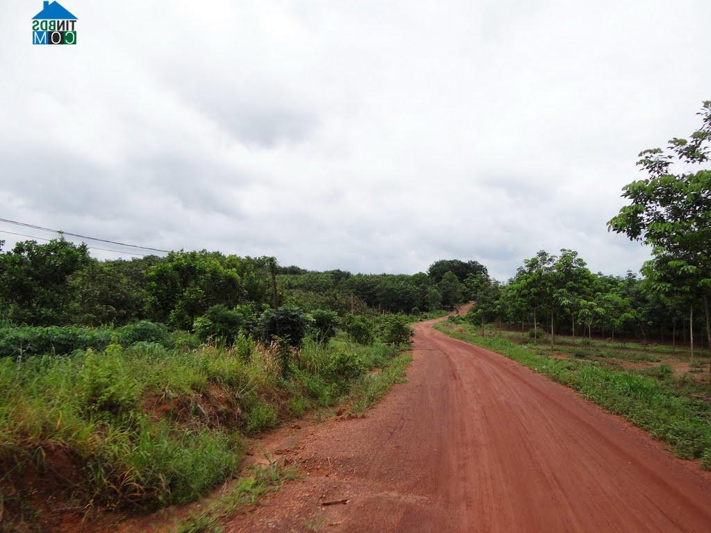 Hình ảnh Tân Lợi, Đồng Nai