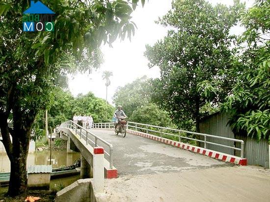 Hình ảnh Mỹ Thọ, Đồng Tháp