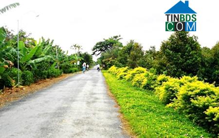 Hình ảnh Ngũ Hiệp, Đồng Tháp