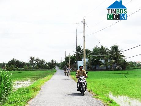 Hình ảnh Vĩnh Hựu, Đồng Tháp