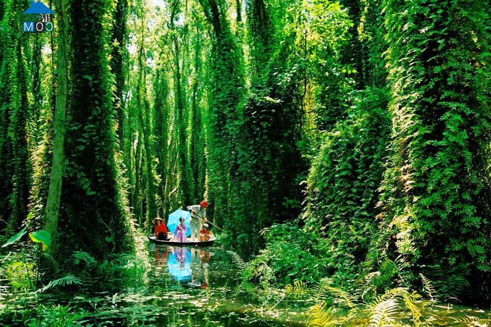 Hình ảnh Mỹ Hiệp, Đồng Tháp