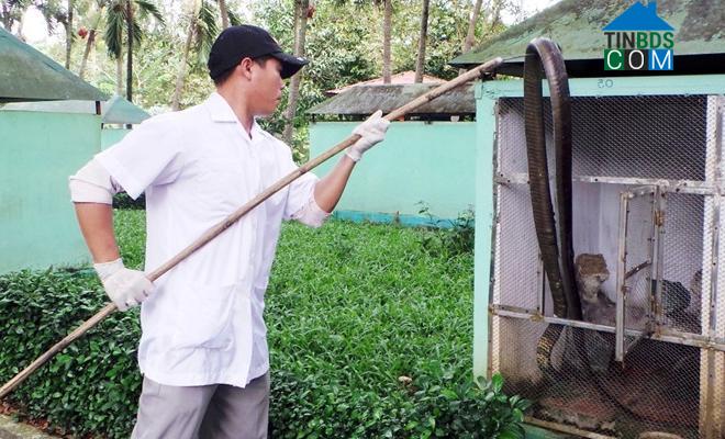 Hình ảnh Kim Sơn, Đồng Tháp