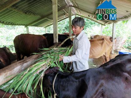 Hình ảnh Mỹ Tịnh An, Đồng Tháp