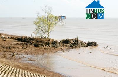 Hình ảnh Tân Điền, Đồng Tháp