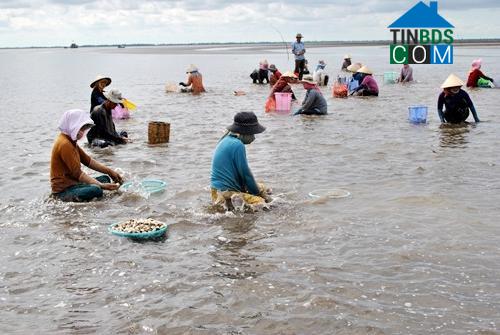 Hình ảnh Tân Phú Đông, Đồng Tháp