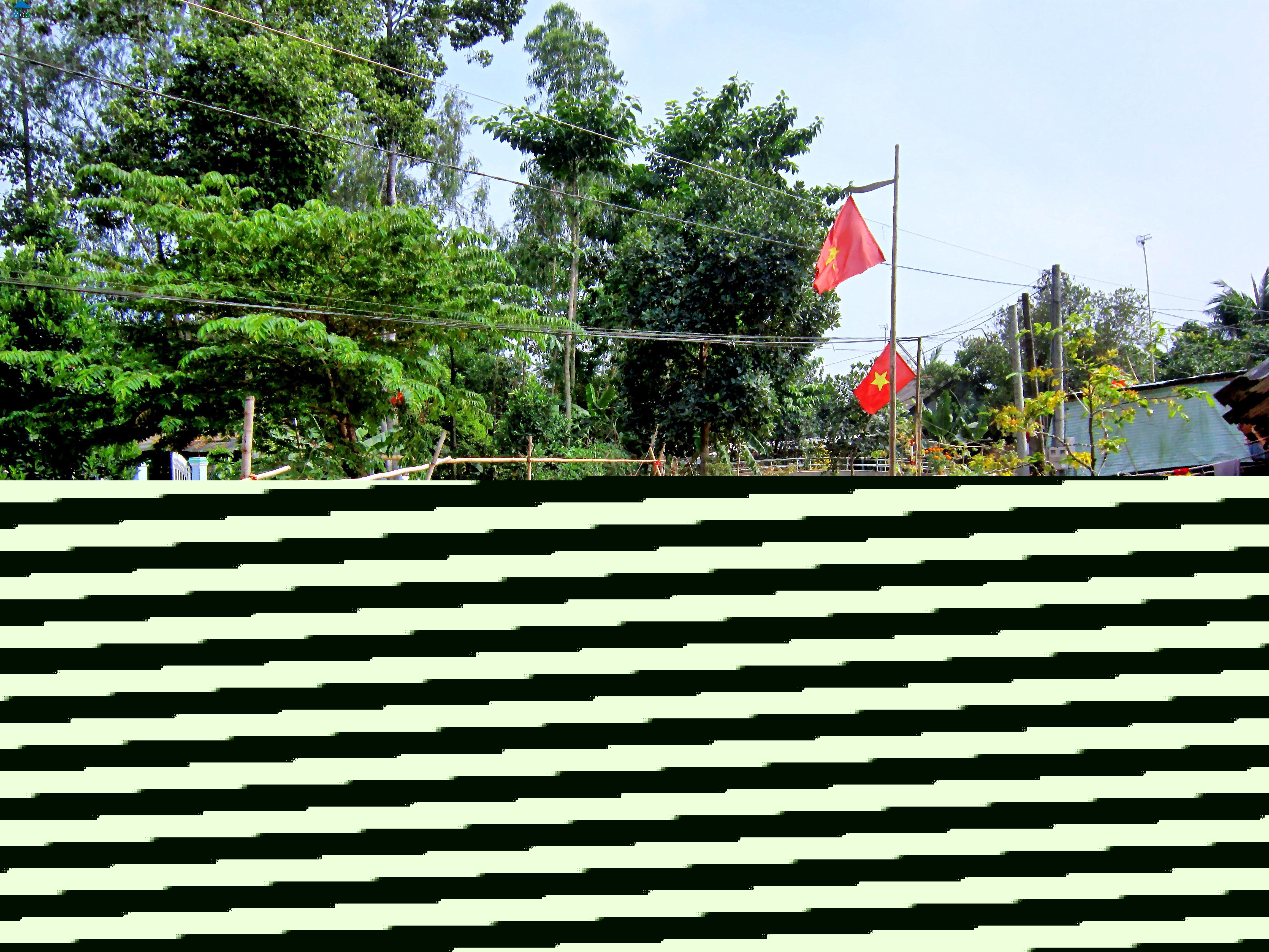 Hình ảnh Lai Vung, Đồng Tháp