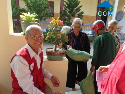 Hình ảnh Trung An, Đồng Tháp