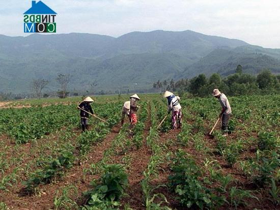 Hình ảnh Ân Hảo, Gia Lai