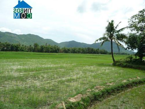 Hình ảnh Đề Gi, Gia Lai