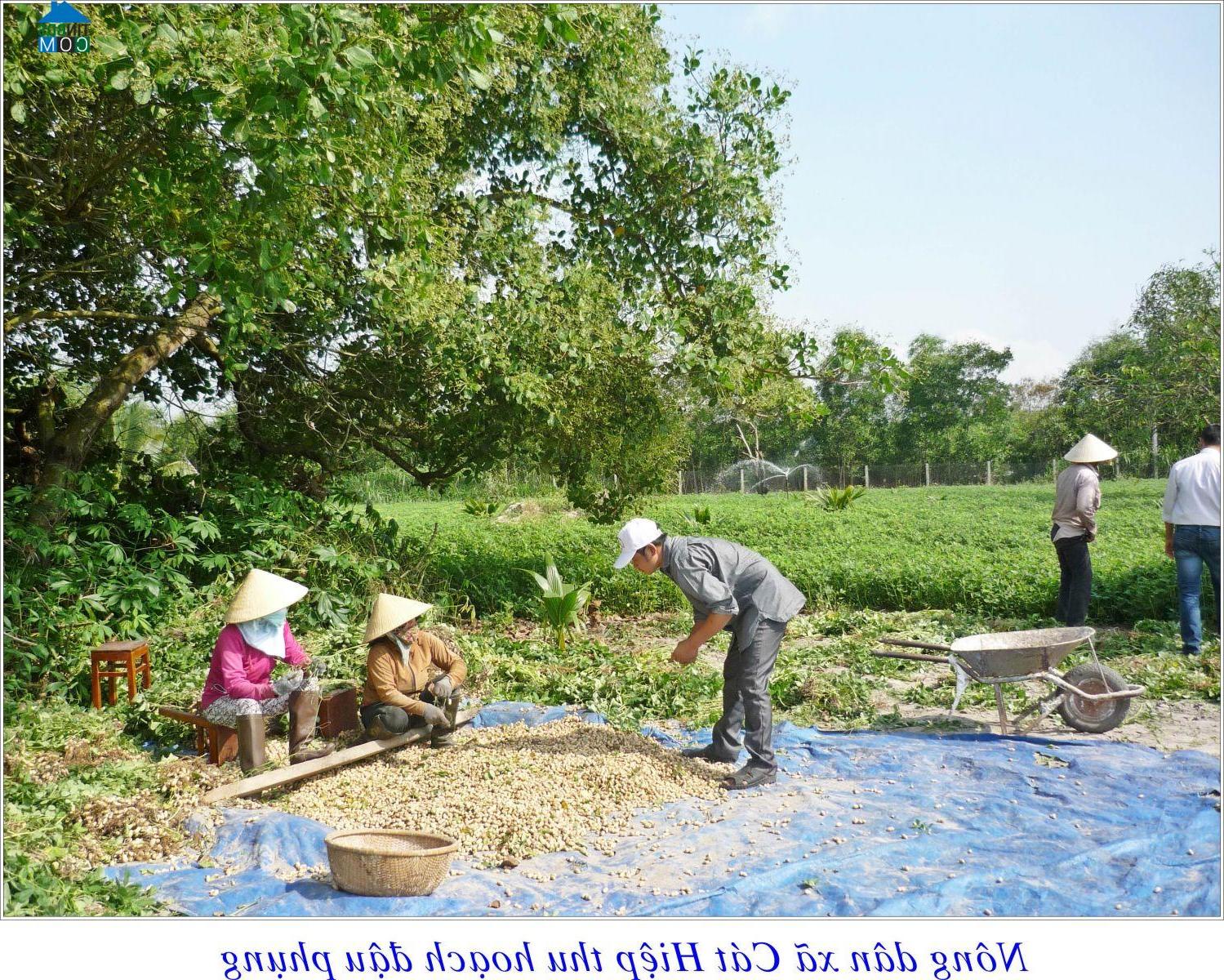 Hình ảnh Hòa Hội, Gia Lai