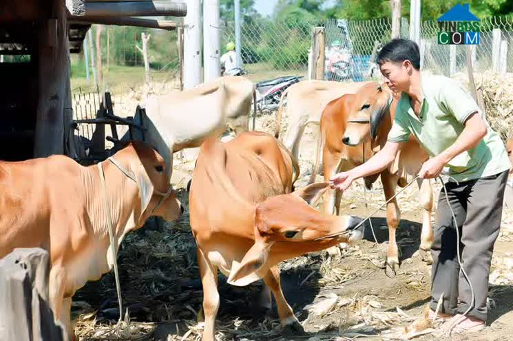 Hình ảnh Kông Chro, Gia Lai