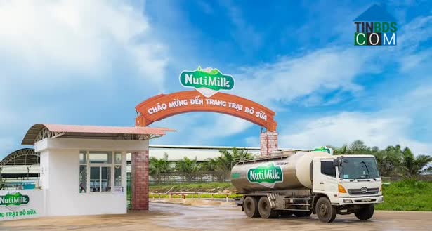 Hình ảnh Mang Yang, Gia Lai