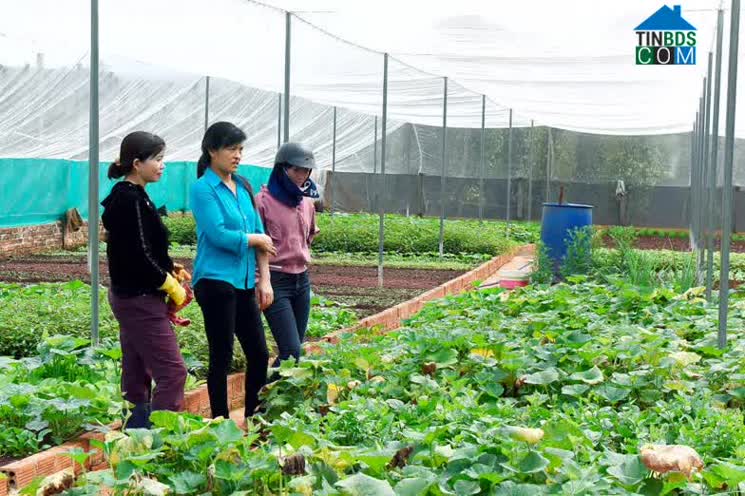 Hình ảnh Ia Phí, Gia Lai