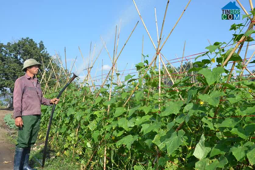 Hình ảnh Phú Thiện, Gia Lai