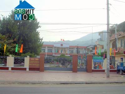 Hình ảnh Quy Nhơn Tây, Gia Lai