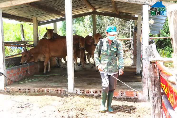 Hình ảnh An Khê, Gia Lai