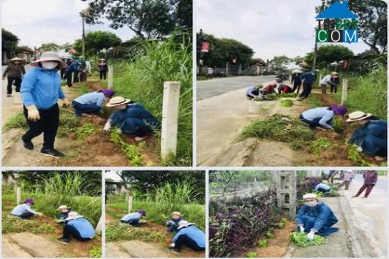 Hình ảnh Kỳ Hoa, Hà Tĩnh