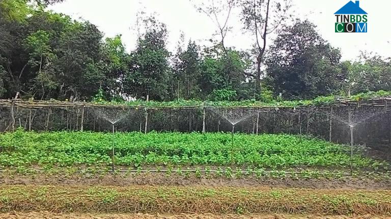 Hình ảnh Cẩm Xuyên, Hà Tĩnh