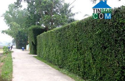 Hình ảnh Đức Thọ, Hà Tĩnh