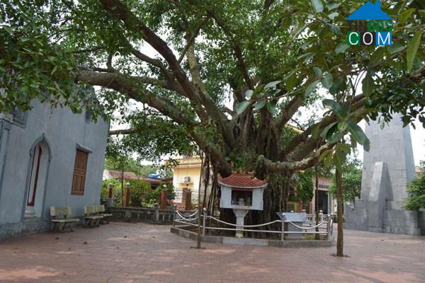 Hình ảnh Gia Hanh, Hà Tĩnh