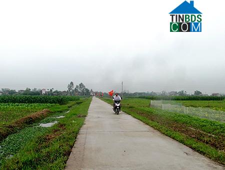 Hình ảnh Bắc Đông Hưng, Hưng Yên